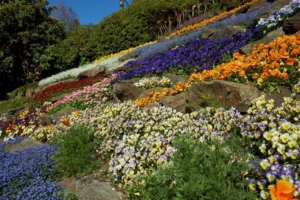 villa carlotta giardino botanico como news notizie a como